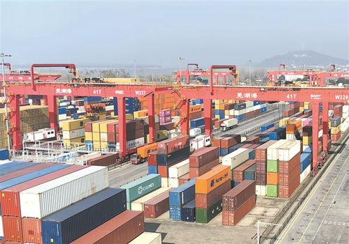 英科醫療假期不打烊，集裝箱出海搶單忙